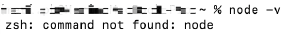 node -v Not found